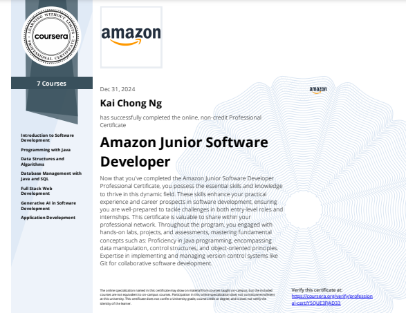 AWS Junior Software Developer